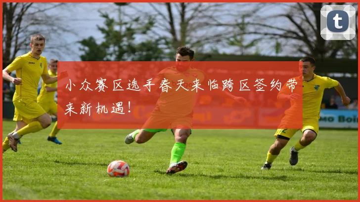 小众赛区选手春天来临跨区签约带来新机遇!