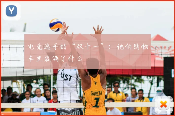 电竞选手的“双十一”:他们购物车里装满了什么