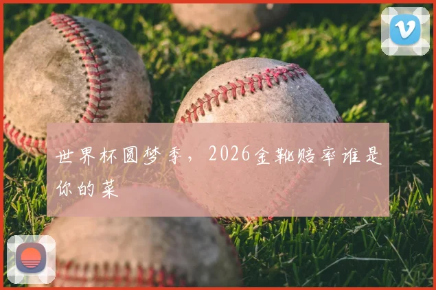 世界杯圆梦季，2026金靴赔率谁是你的菜