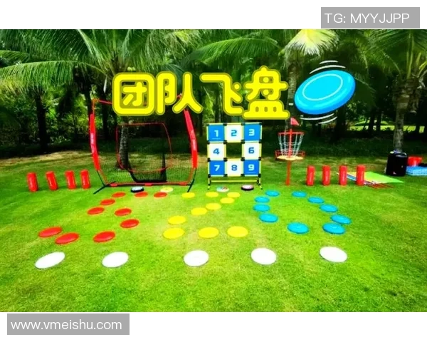 聚焦飞盘运动杭州飞盘队如何提升个人能力与团队协作